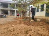PHONG TRÀO "TẾT TRỒNG CÂY"